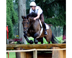 Andreas Brandt wurde in Langenhagen im CIC** Siebter mit Clever & Smart. Fotos: KaLo